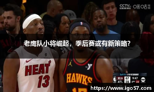 老鹰队小将崛起，季后赛或有新策略？