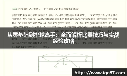 伟德bv国际体育