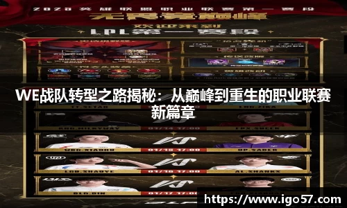 WE战队转型之路揭秘：从巅峰到重生的职业联赛新篇章