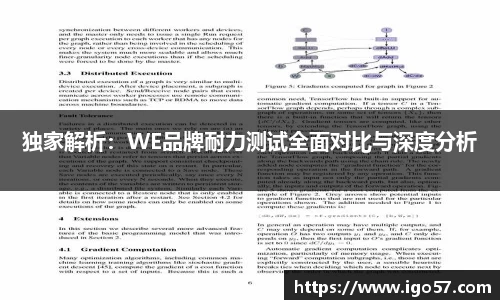 独家解析：WE品牌耐力测试全面对比与深度分析