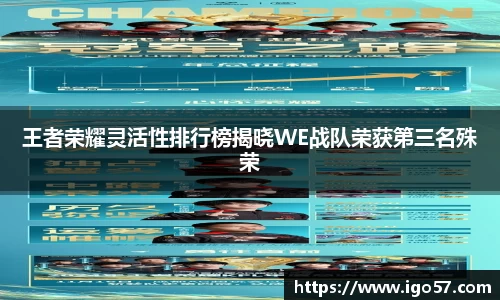 王者荣耀灵活性排行榜揭晓WE战队荣获第三名殊荣