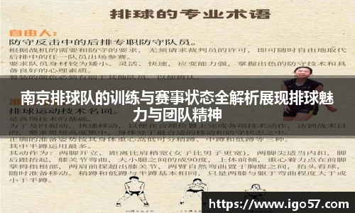 南京排球队的训练与赛事状态全解析展现排球魅力与团队精神