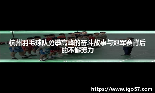 杭州羽毛球队勇攀高峰的奋斗故事与冠军赛背后的不懈努力