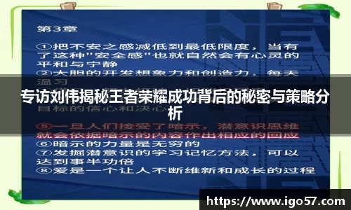 专访刘伟揭秘王者荣耀成功背后的秘密与策略分析